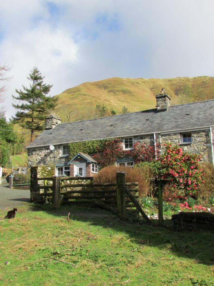 Villa Bryn Sion Farm Dinas Mawddwy Exterior foto